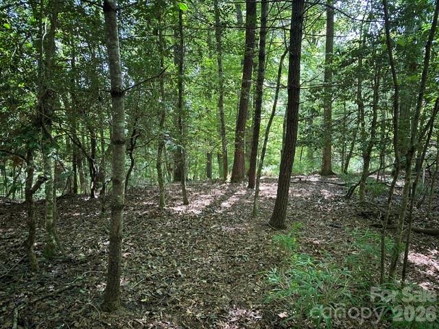 Tbd Blossom Road Brevard, NC 28712 - Photo 4 of 8 Gallery Image 4