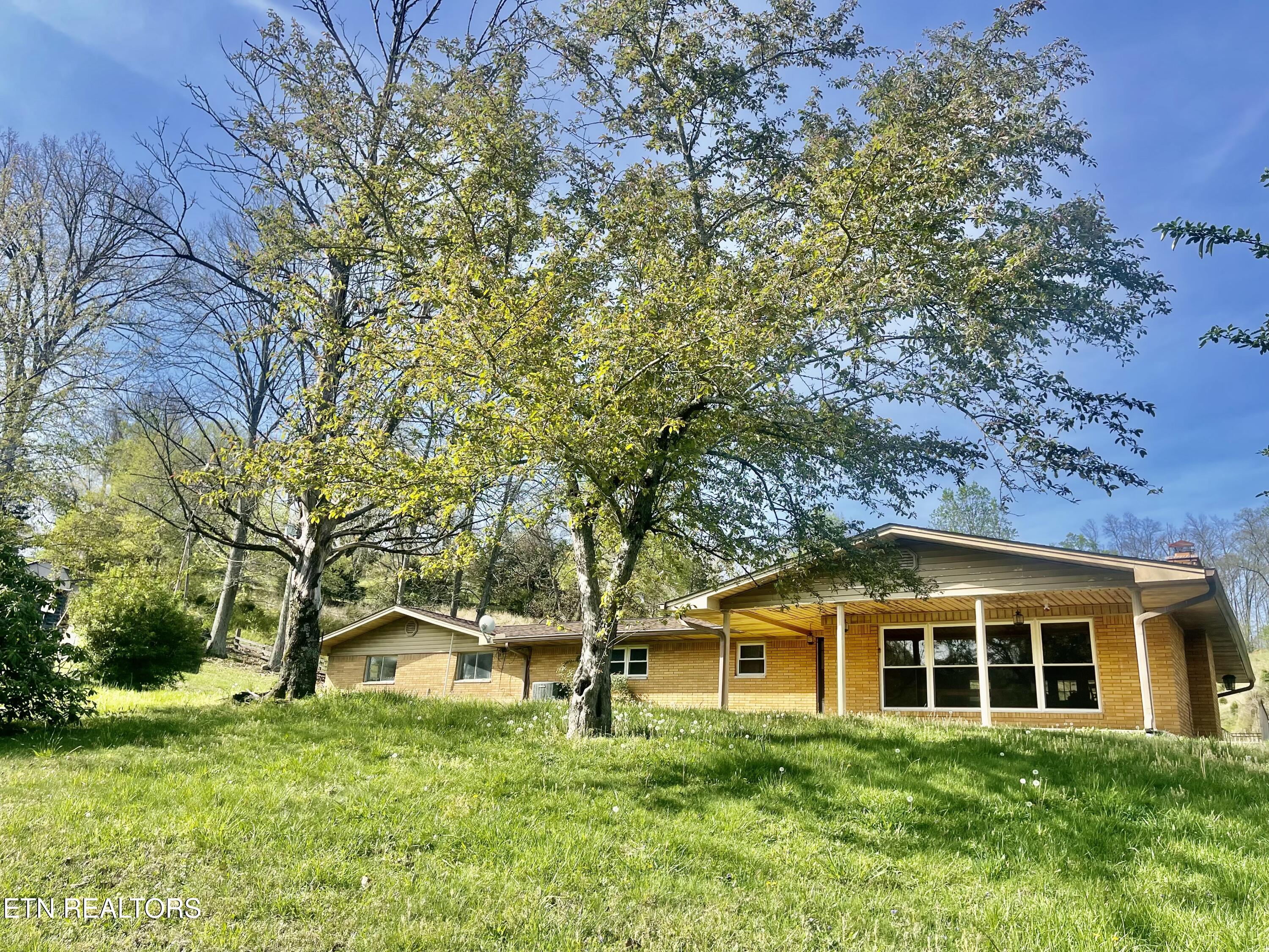 980 Blue Top Road Tazewell, TN 37879 - Photo 3 of 42 IMG_5919