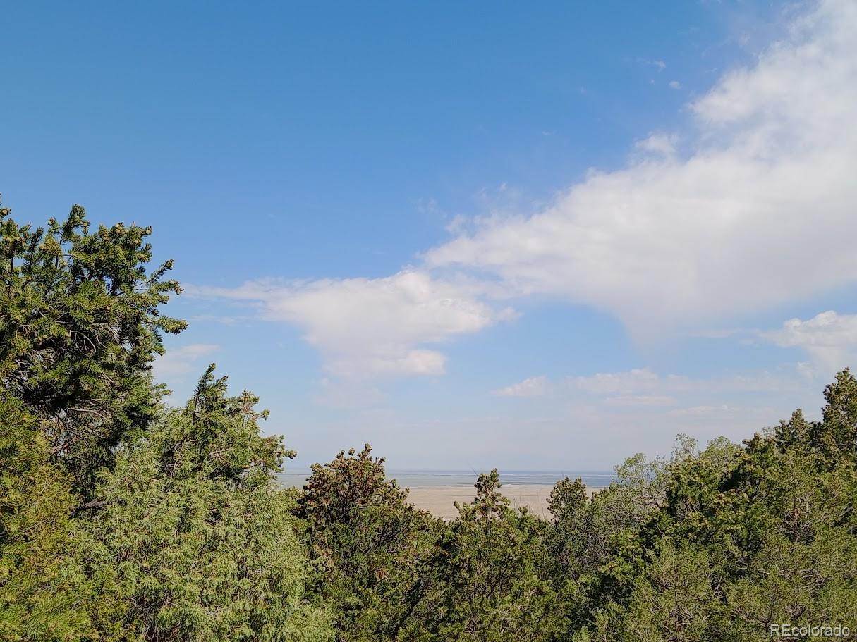 214 Big Bear Road Mosca, CO 81146 - Photo 3 of 10