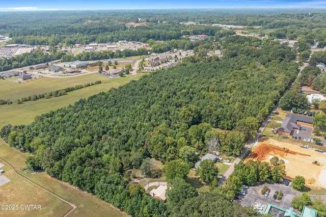 an aerial view of residential houses with outdoor space and trees