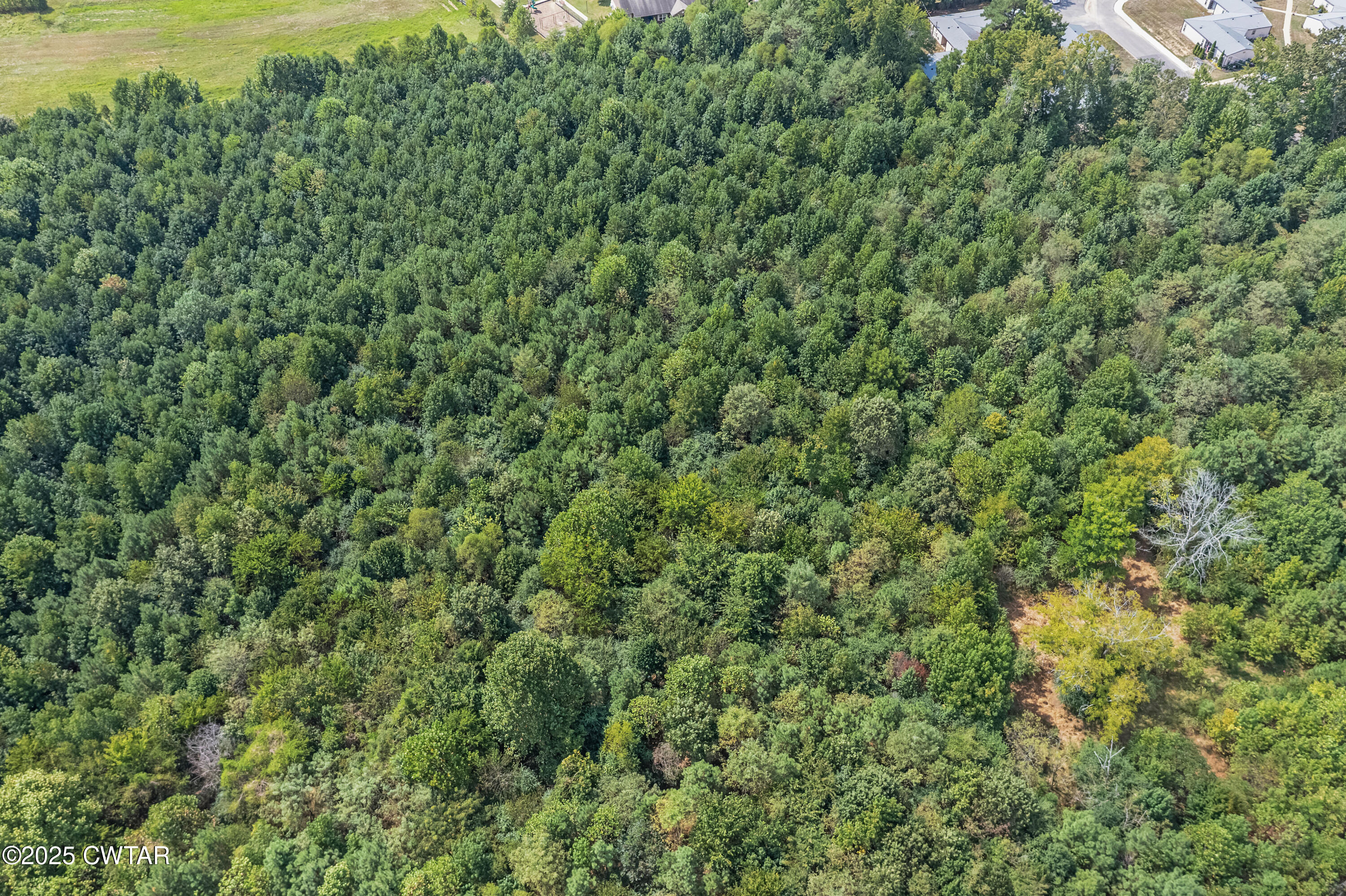 1045 Manley Street Paris, TN 38242 - Photo 14 of 14 a view of a lush green forest