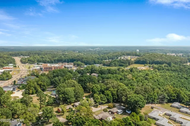 a view of a city with green space