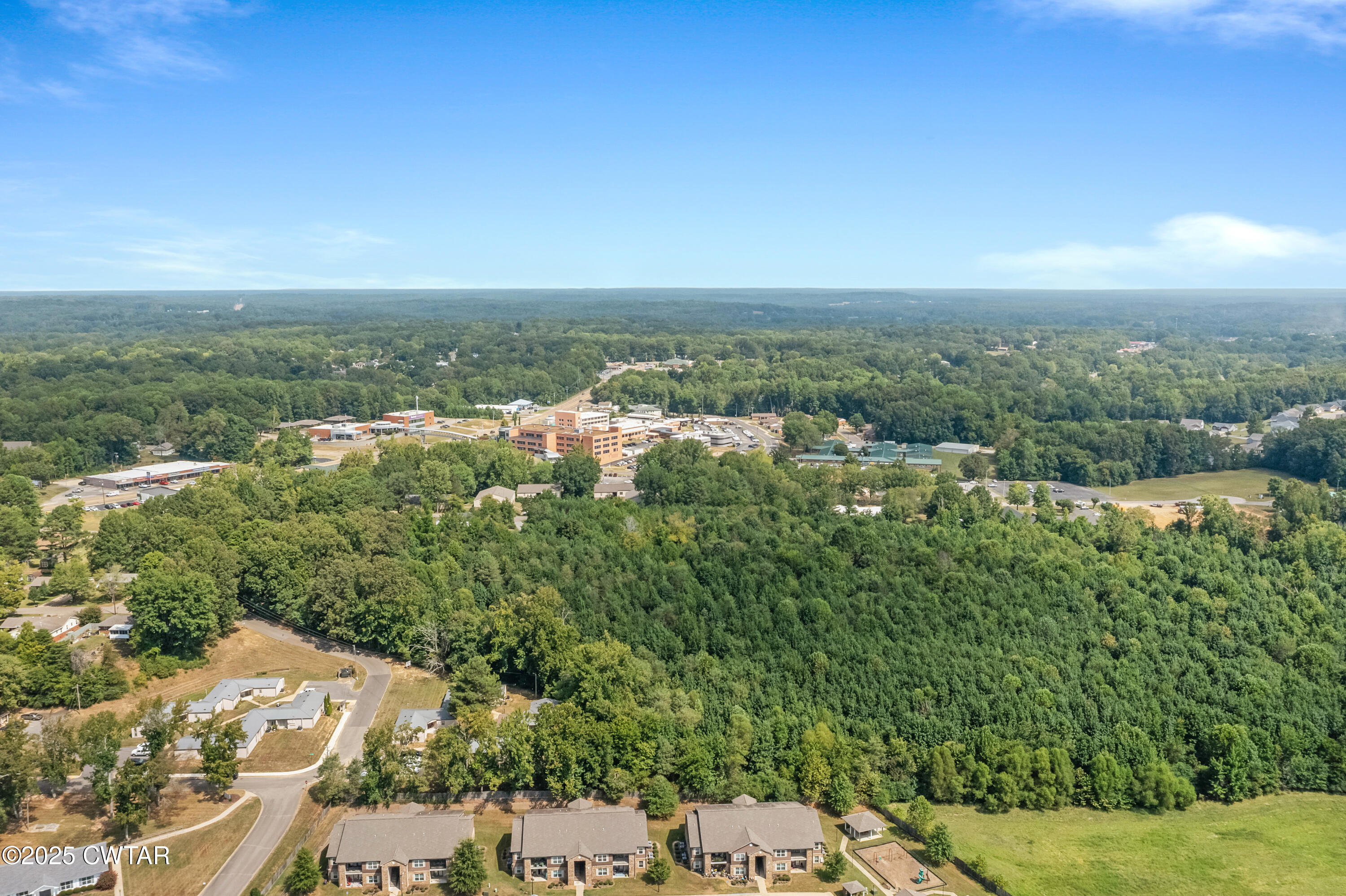 1045 Manley Street Paris, TN 38242 - Photo 6 of 14 an aerial view of a residential houses with outdoor space and trees