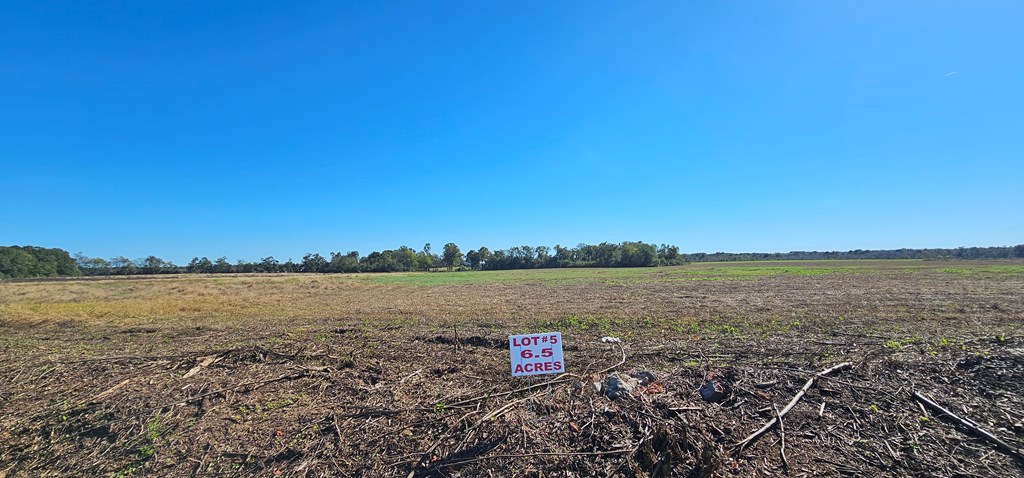 92 County Road 92 Slocomb, AL 36375 - Photo 2 of 8