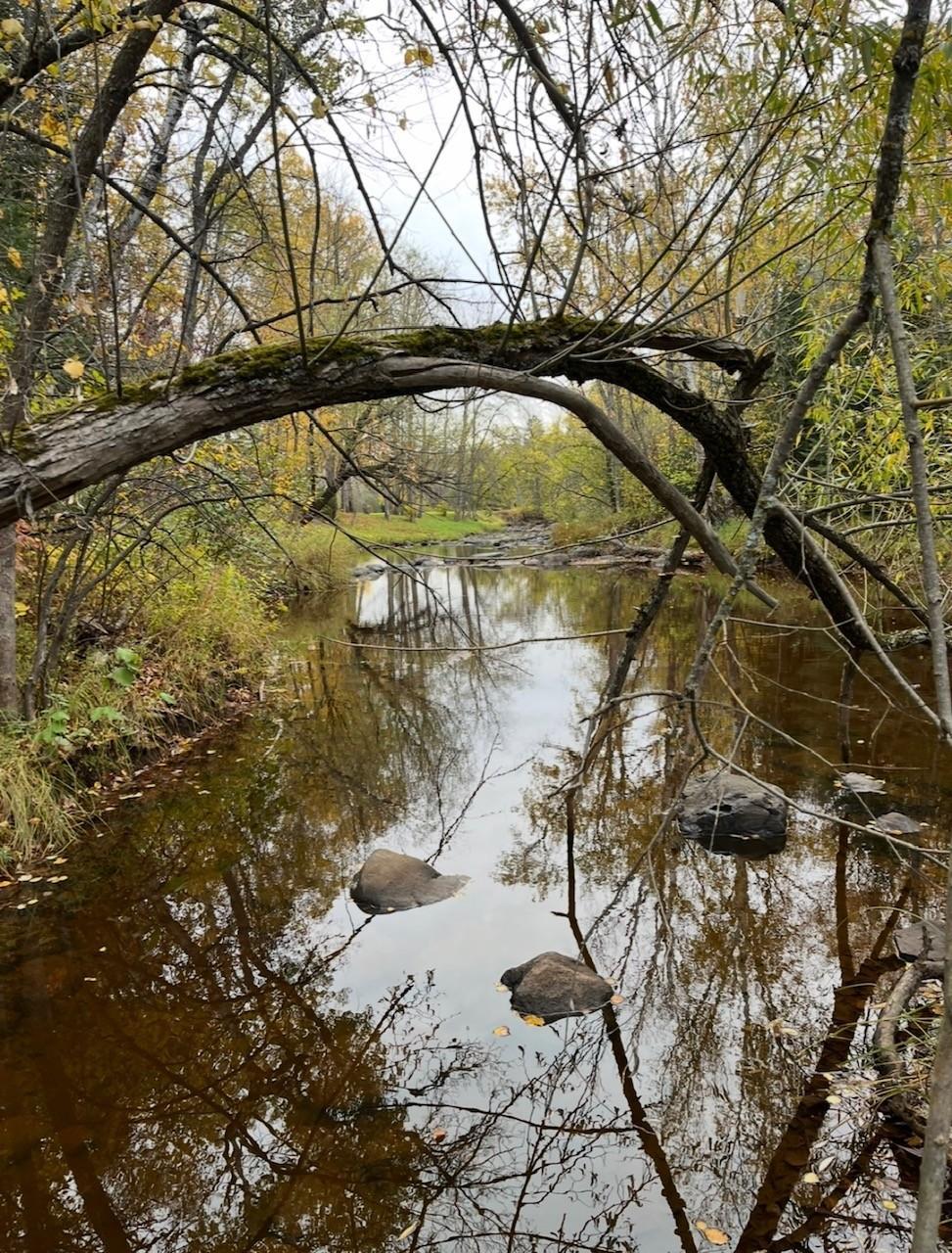 9377-lot 2) East 9377-lot 2) E Wood Road Hayward, WI 54843 - Photo 11 of 12