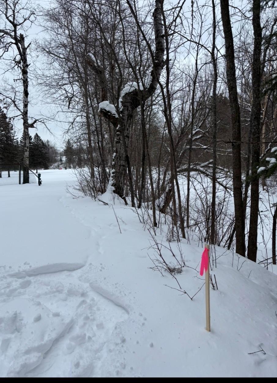 9377-lot 2) East 9377-lot 2) E Wood Road Hayward, WI 54843 - Photo 12 of 12