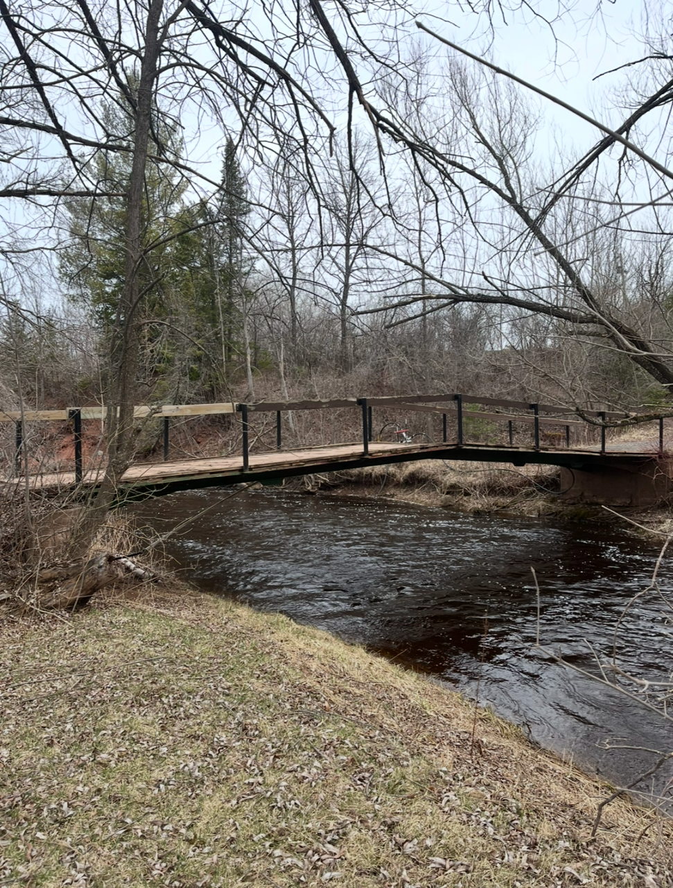 9377-lot 2) East 9377-lot 2) E Wood Road Hayward, WI 54843 - Photo 9 of 12