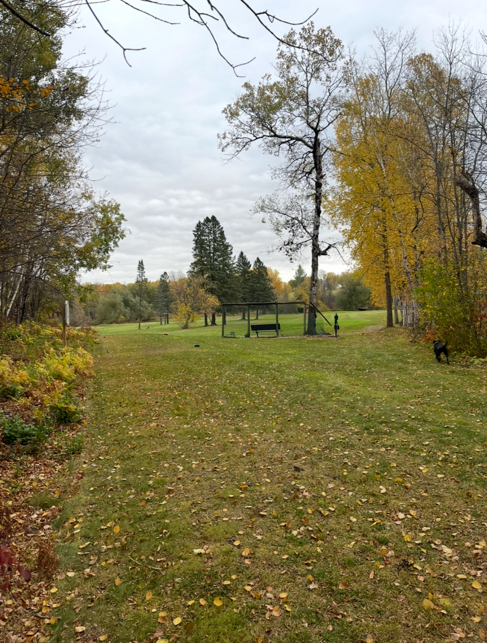 9377-lot 2) East 9377-lot 2) E Wood Road Hayward, WI 54843 - Photo 10 of 12