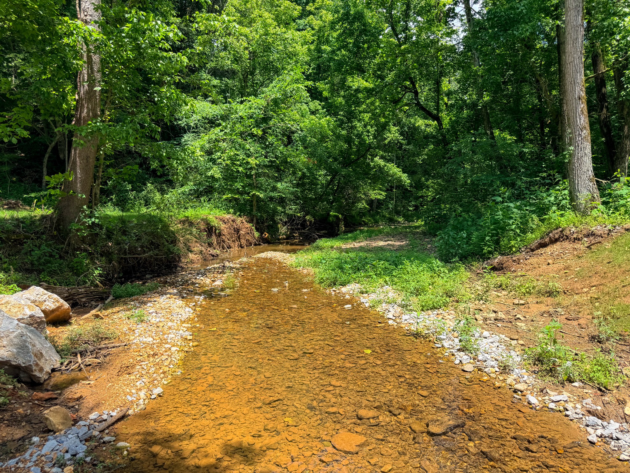 1 Budds Creek Road Palmyra, TN 37142 - Photo 19 of 76
