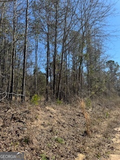 Lots 11-12 Shoals Road Sparta, GA 31087 - Photo 1 of 10 a view of a forest with trees in the background