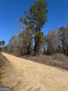 Lots 11-12 Shoals Road Sparta, GA 31087 - Photo 2 of 10 a view of a yard with a tree