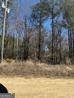 Lots 11-12 Shoals Road Sparta, GA 31087 - Photo 4 of 10 a view of a yard with a tree