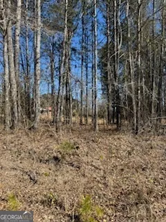 a view of a yard with trees