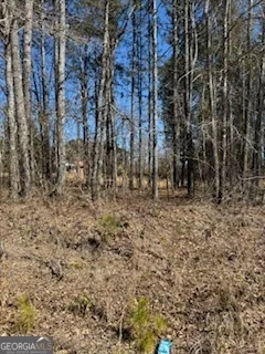a backyard of a building
