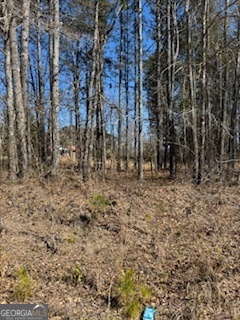 Lots 11-12 Shoals Road Sparta, GA 31087 - Photo 6 of 10 a backyard of a building