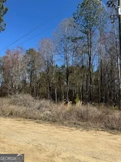 a view of a yard with trees in the background