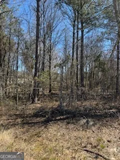 a view of a yard with a trees
