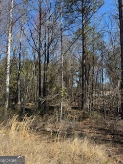 Lots 11-12 Shoals Road Sparta, GA 31087 - Photo 10 of 10 a view of a forest with large trees