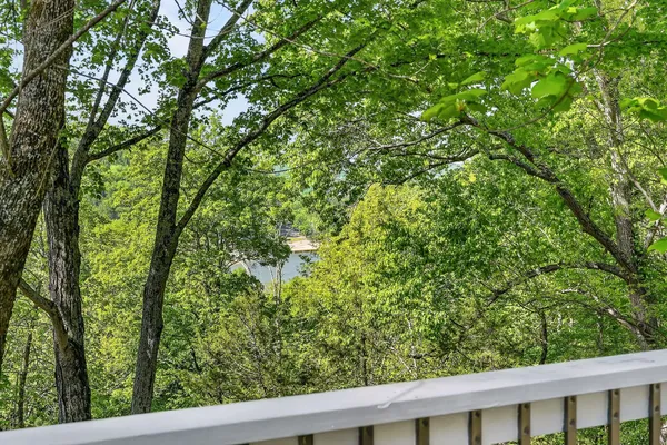 a view of a forest from a window