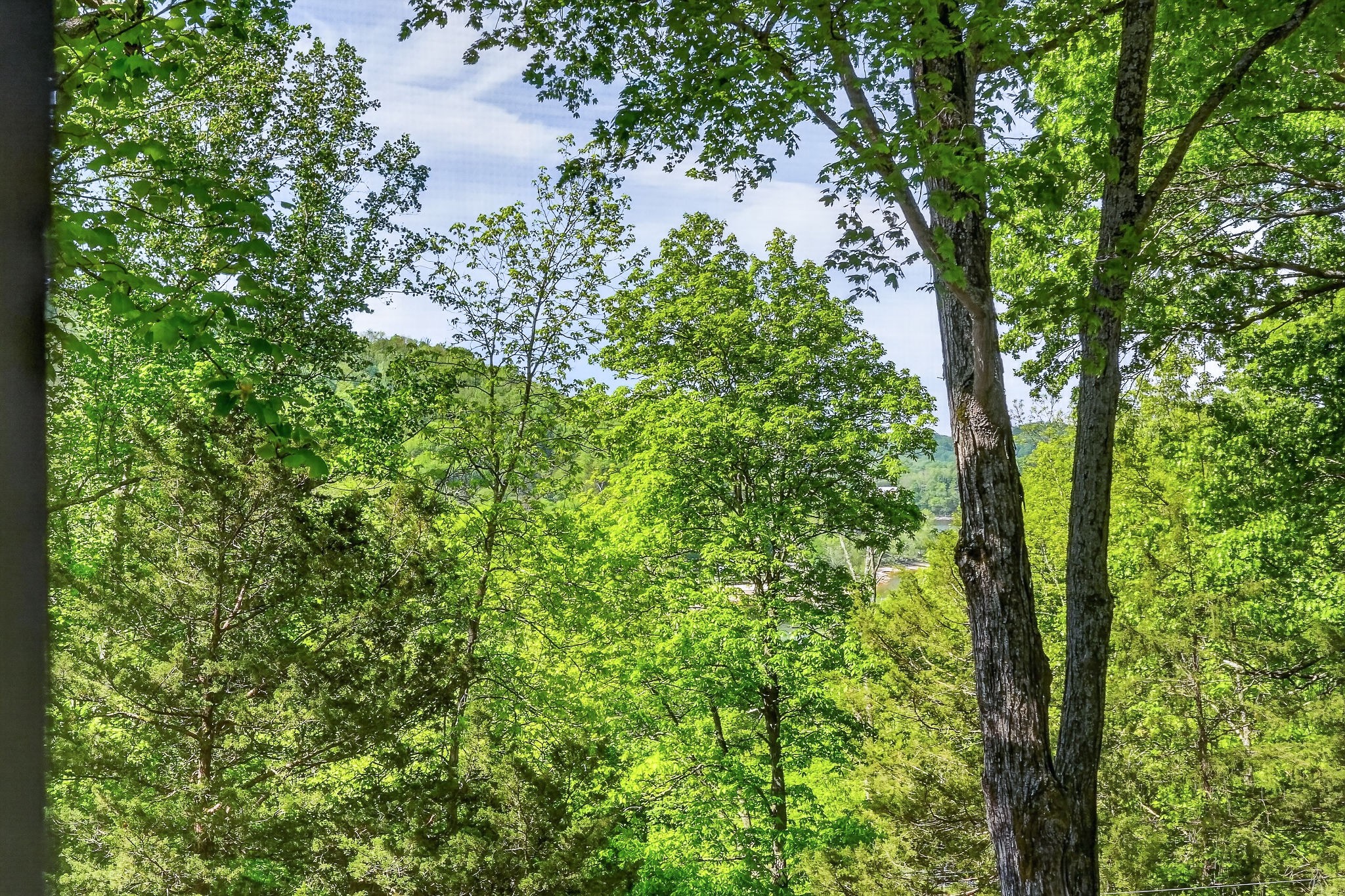 1097 Floating Mill Village Road Silver Point, TN 38582 - Photo 45 of 51