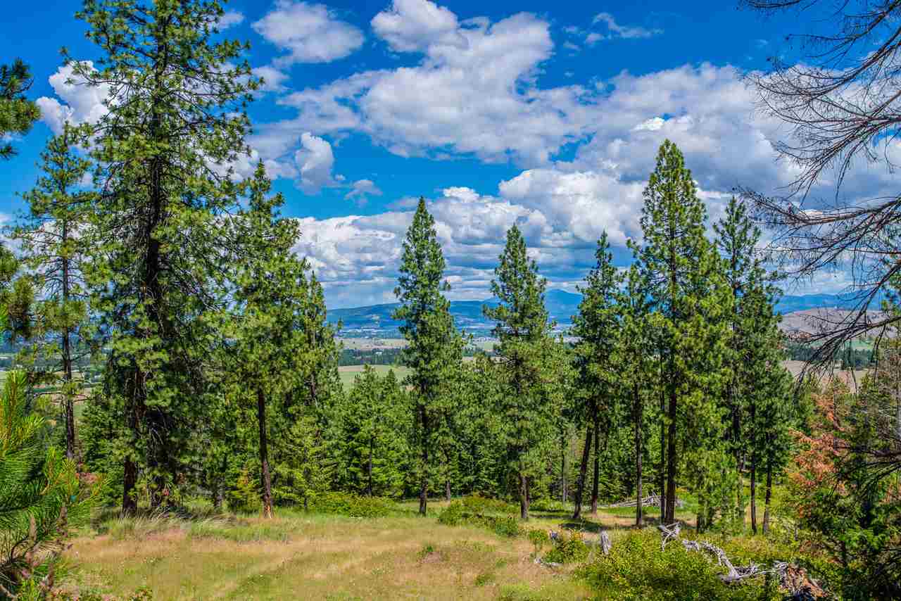 Xxxx South Saddle Ridge Road Greenacres, WA 99016 - Photo 1 of 18 Gallery Image 1