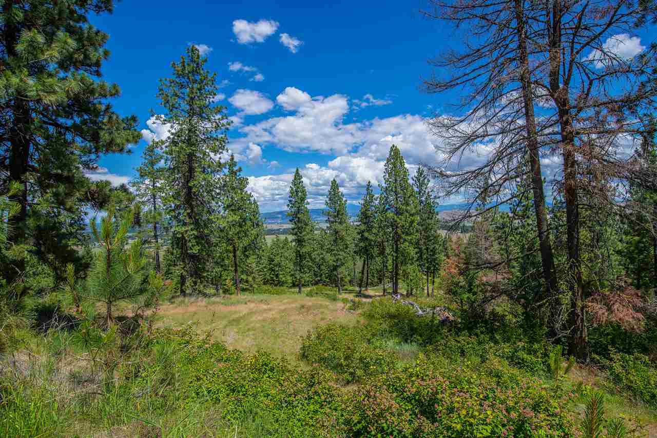 Xxxx South Saddle Ridge Road Greenacres, WA 99016 - Photo 14 of 18 Gallery Image 14