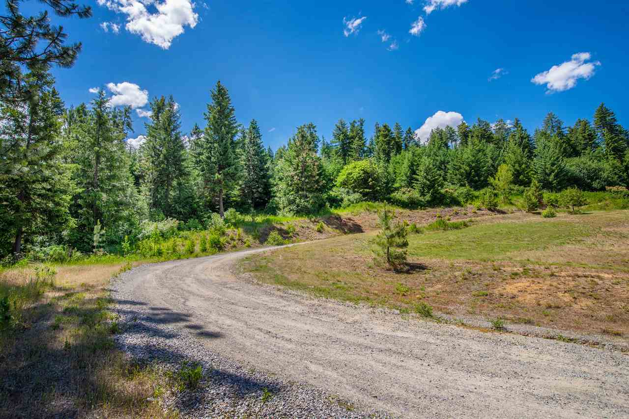 Xxxx South Saddle Ridge Road Greenacres, WA 99016 - Photo 7 of 18 Gallery Image 7