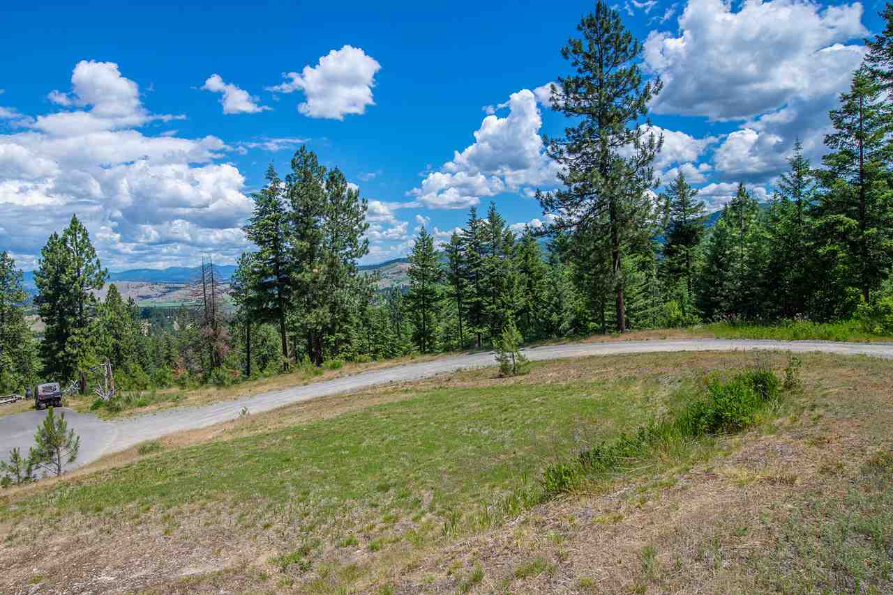 Xxxx South Saddle Ridge Road Greenacres, WA 99016 - Photo 8 of 18 Gallery Image 8
