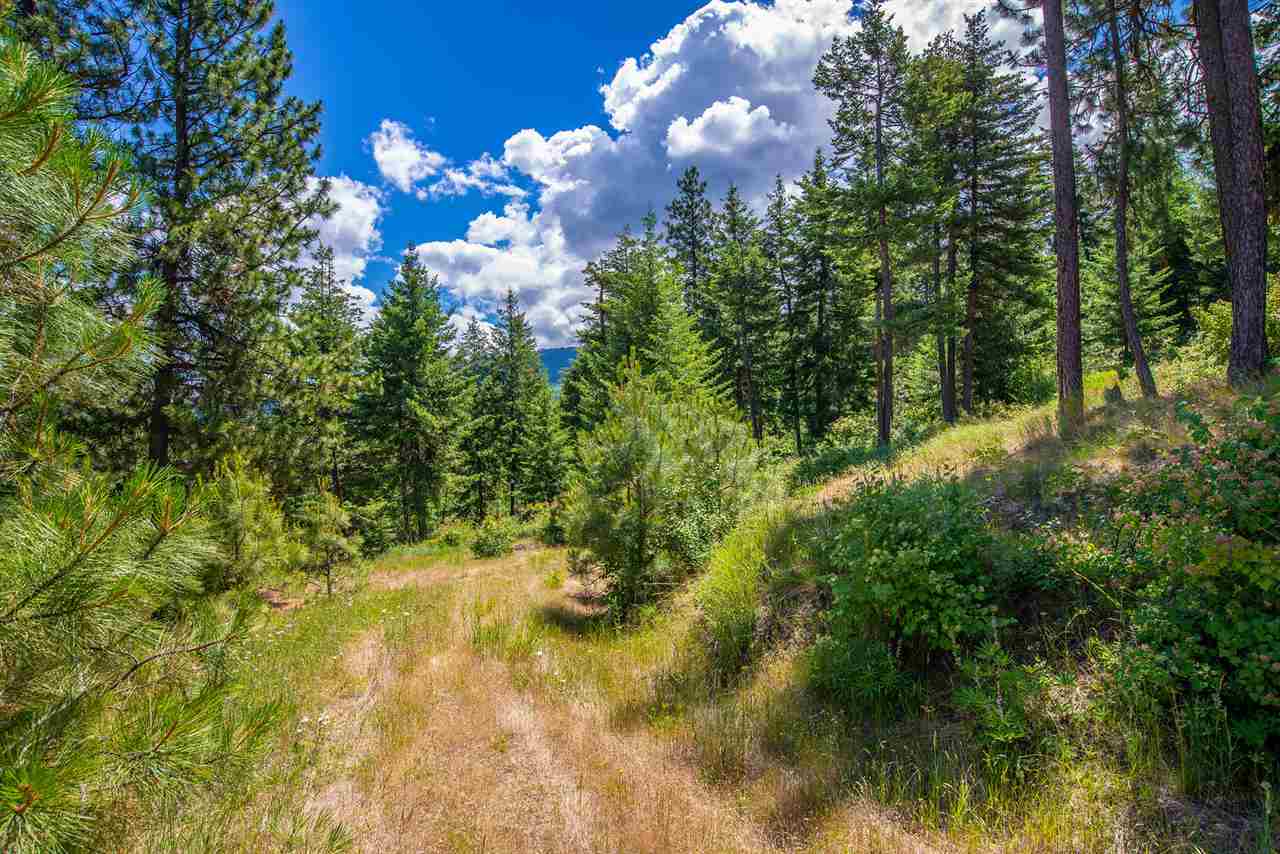 Xxxx South Saddle Ridge Road Greenacres, WA 99016 - Photo 9 of 18 Gallery Image 9