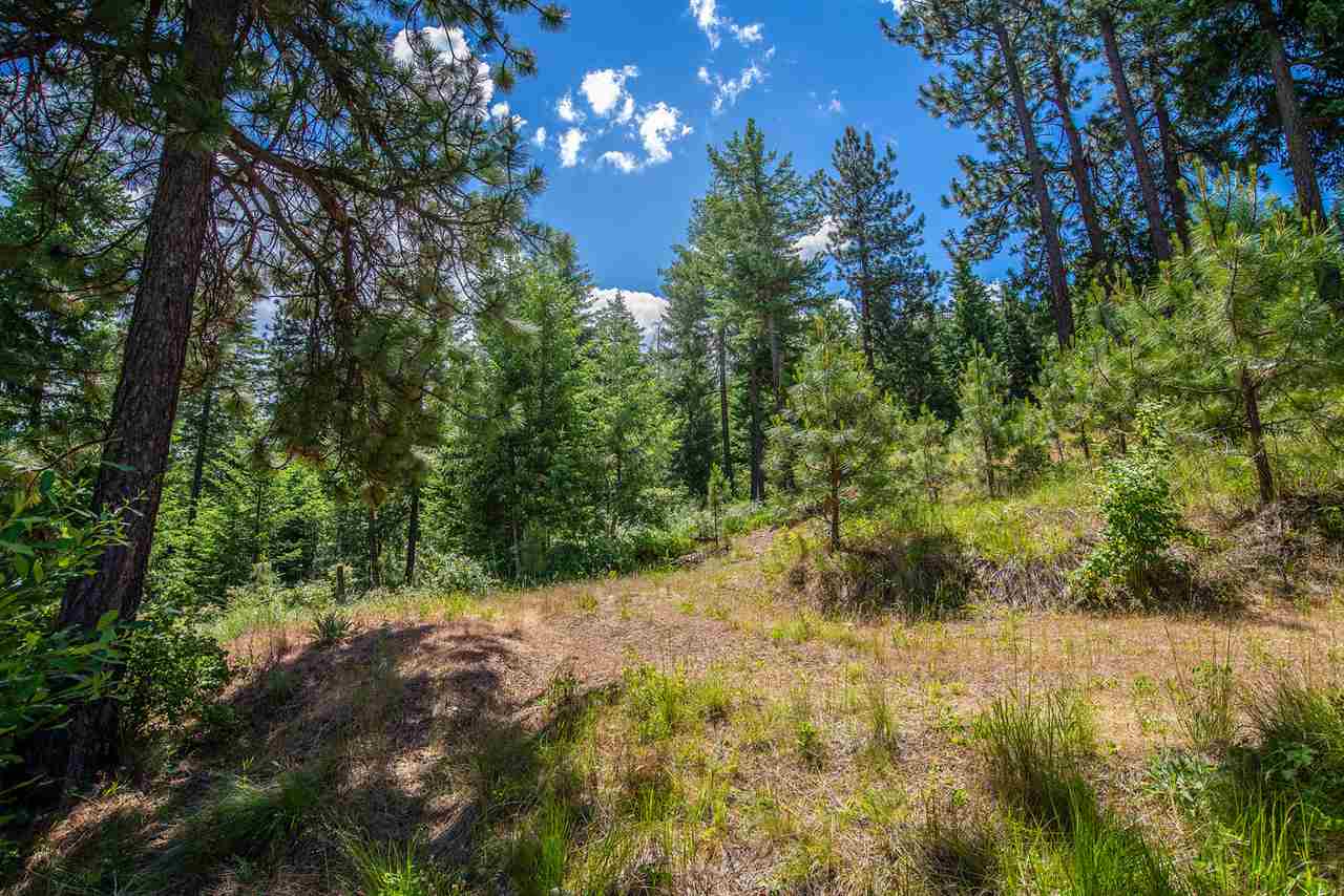 Xxxx South Saddle Ridge Road Greenacres, WA 99016 - Photo 10 of 18 Gallery Image 10