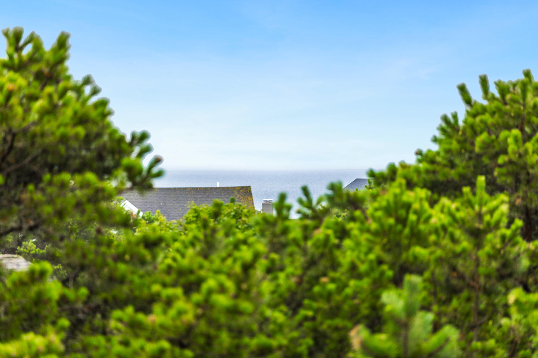 132 Shore Road, Unit 30 Truro, MA 02666 - Photo 19 of 32