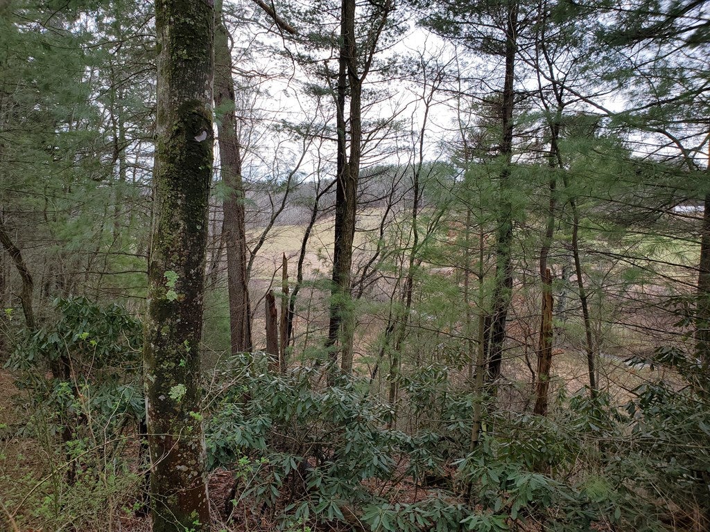 343 Reedside Drive, Unit 343 Fancy Gap, VA 24328 - Photo 11 of 11 Gallery Image 11