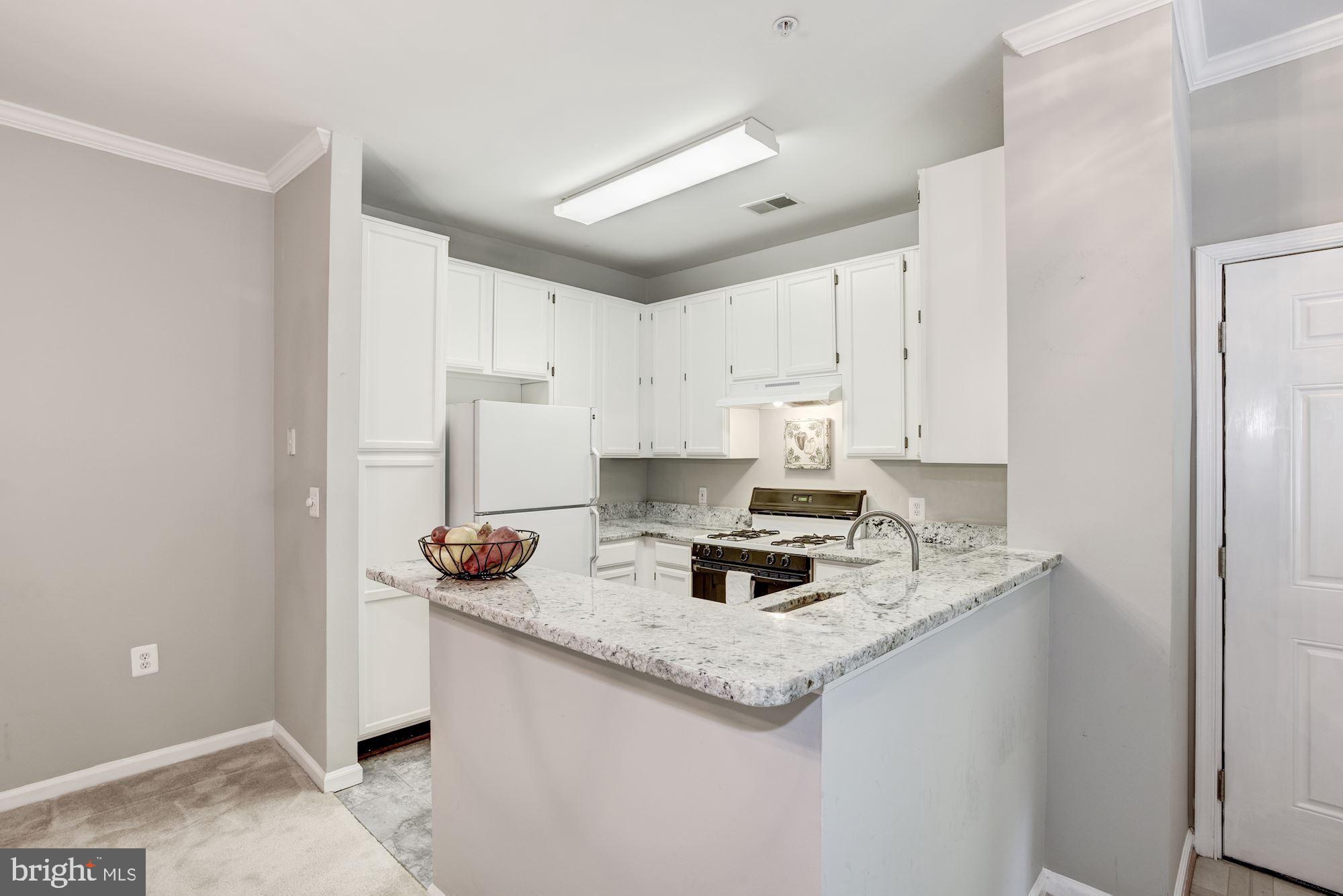 1516 North Point Drive, Unit 103 Reston, VA 20194 - Photo 16 of 44 Gallery Image 16