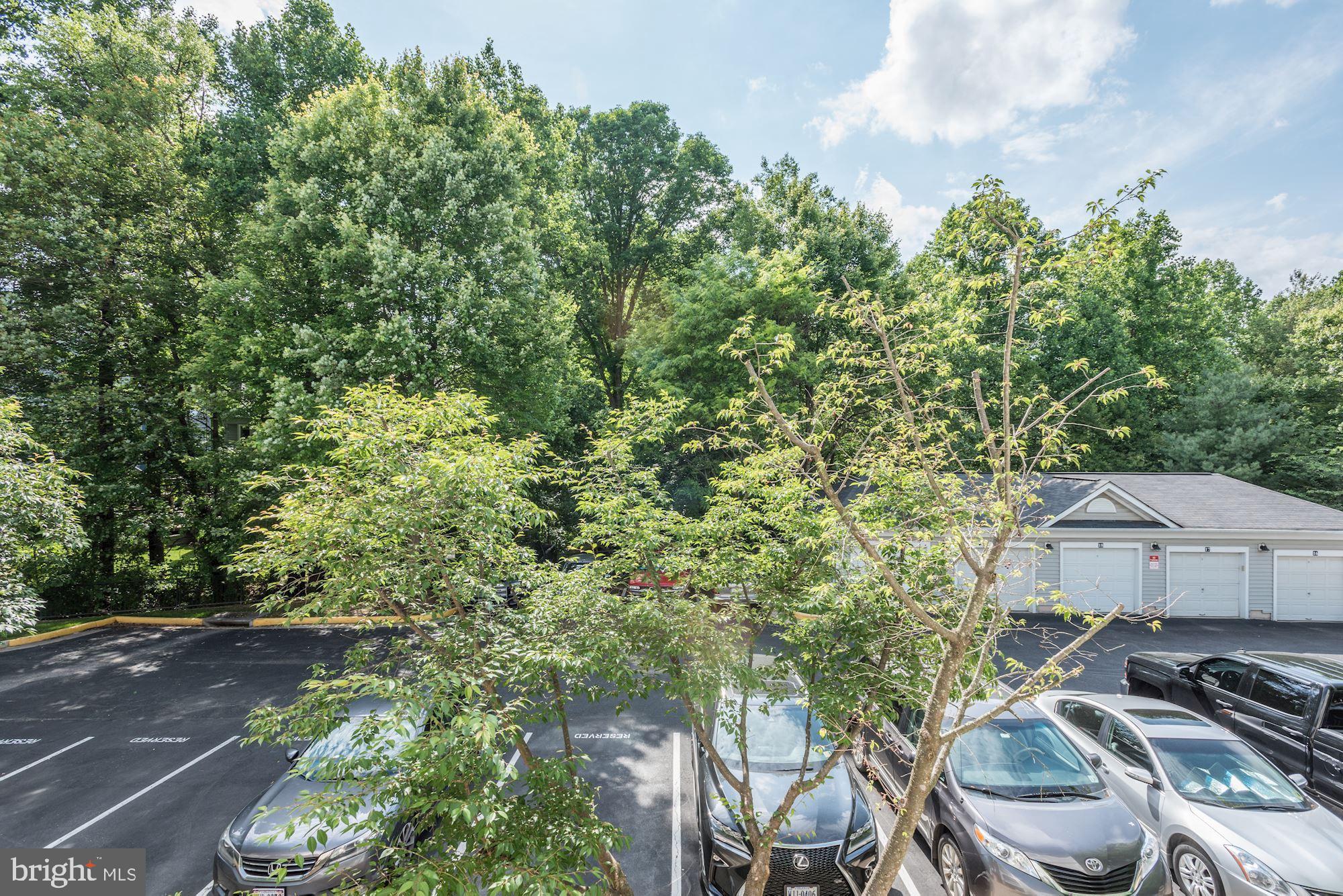 1516 North Point Drive, Unit 103 Reston, VA 20194 - Photo 39 of 44 Gallery Image 39