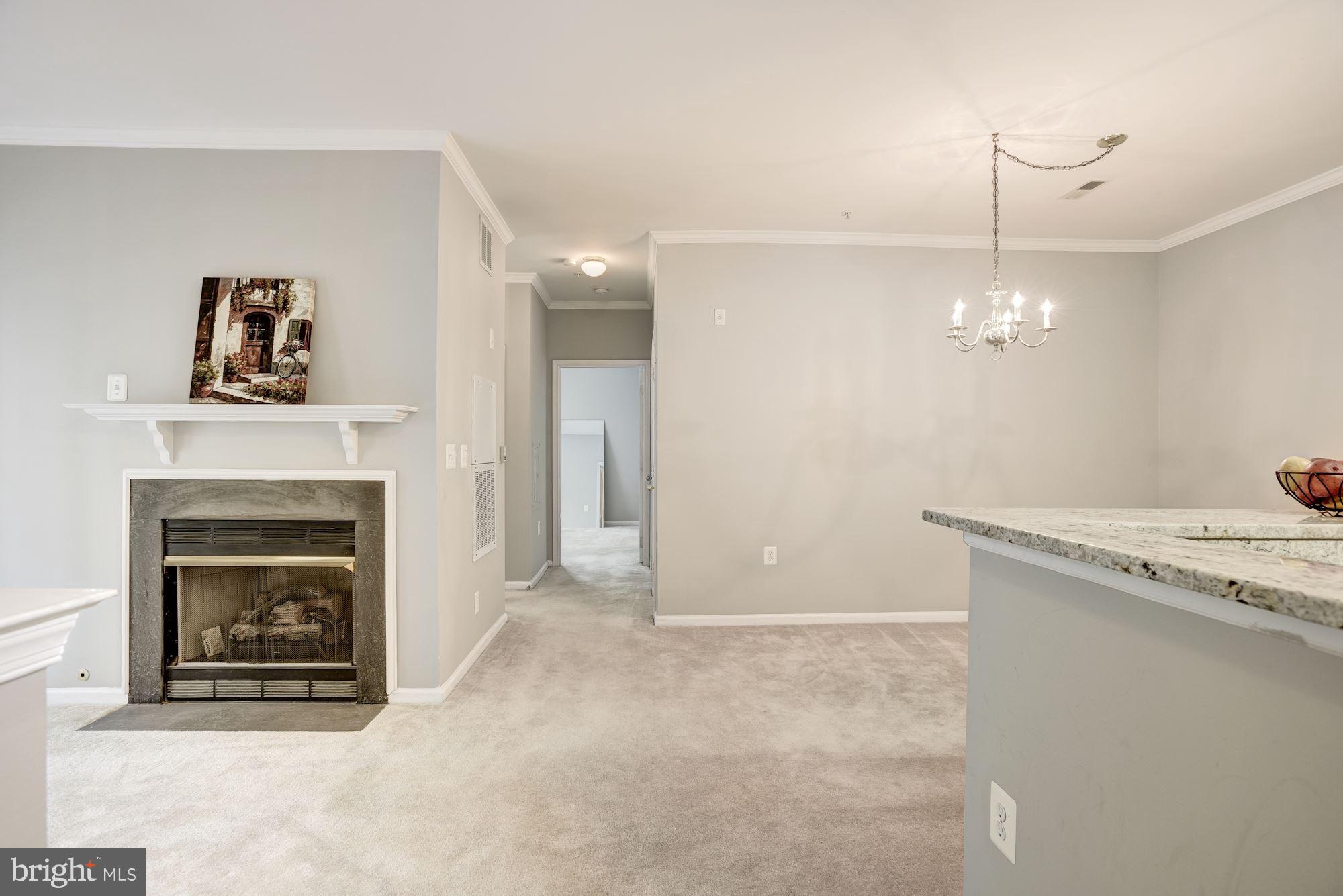 1516 North Point Drive, Unit 103 Reston, VA 20194 - Photo 6 of 44 Gallery Image 6