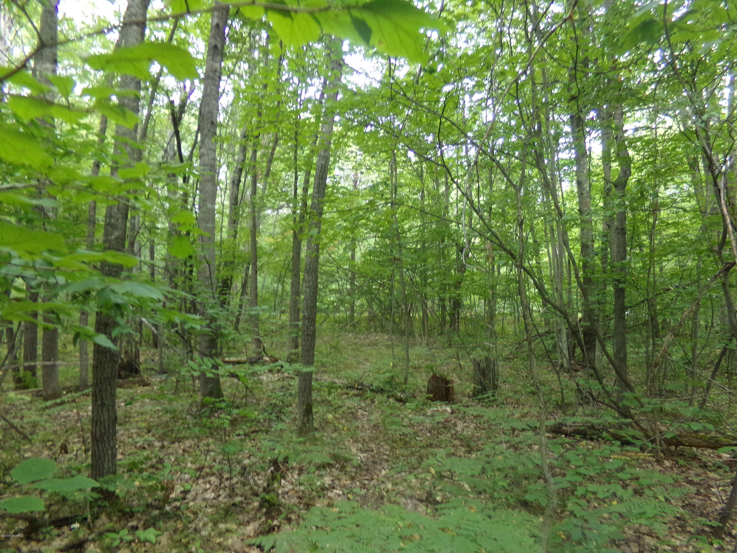 Pole Road Kaleva, MI 49645 - Photo 1 of 12 100_0531