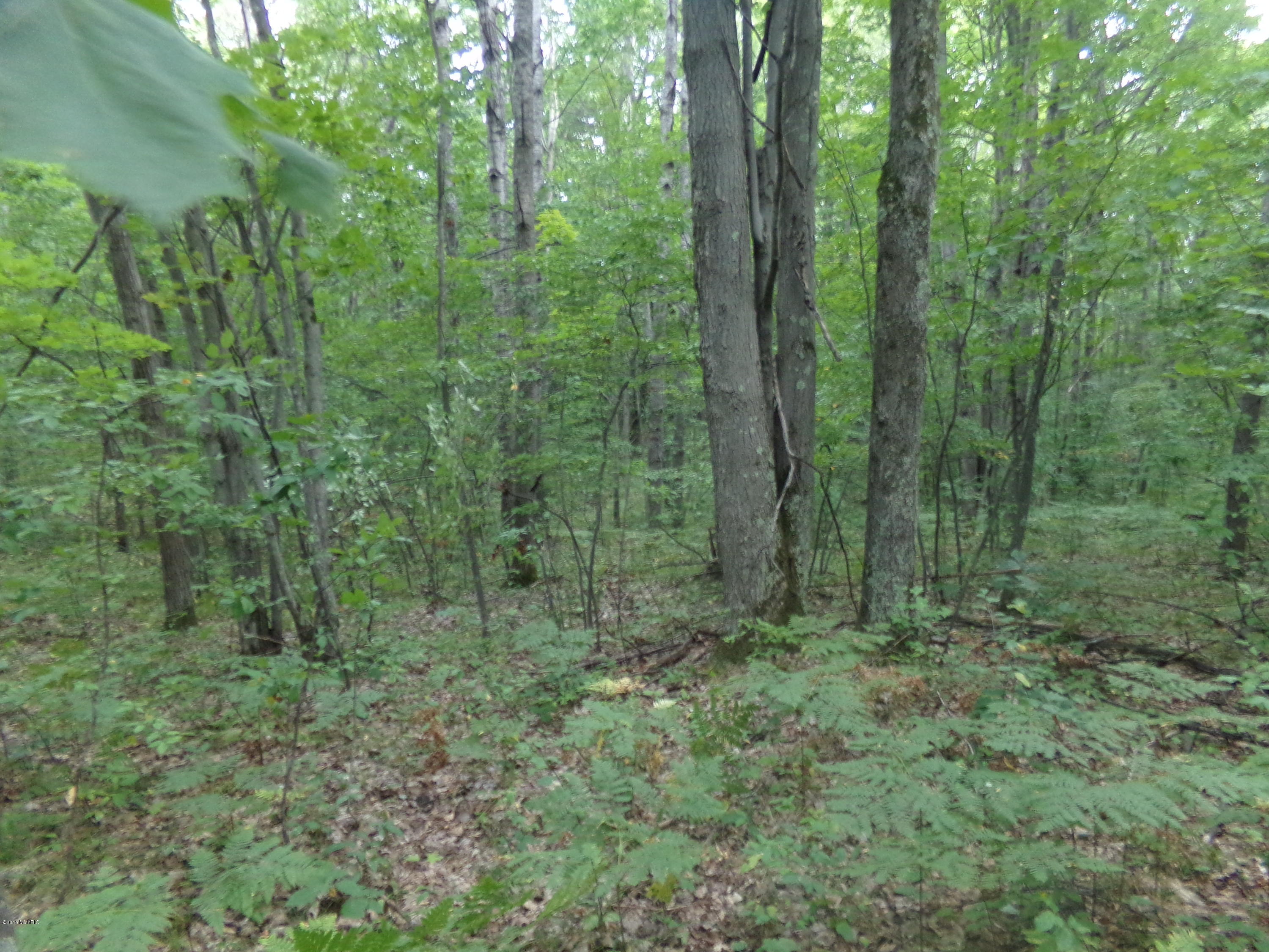 Pole Road Kaleva, MI 49645 - Photo 12 of 12 100_0530