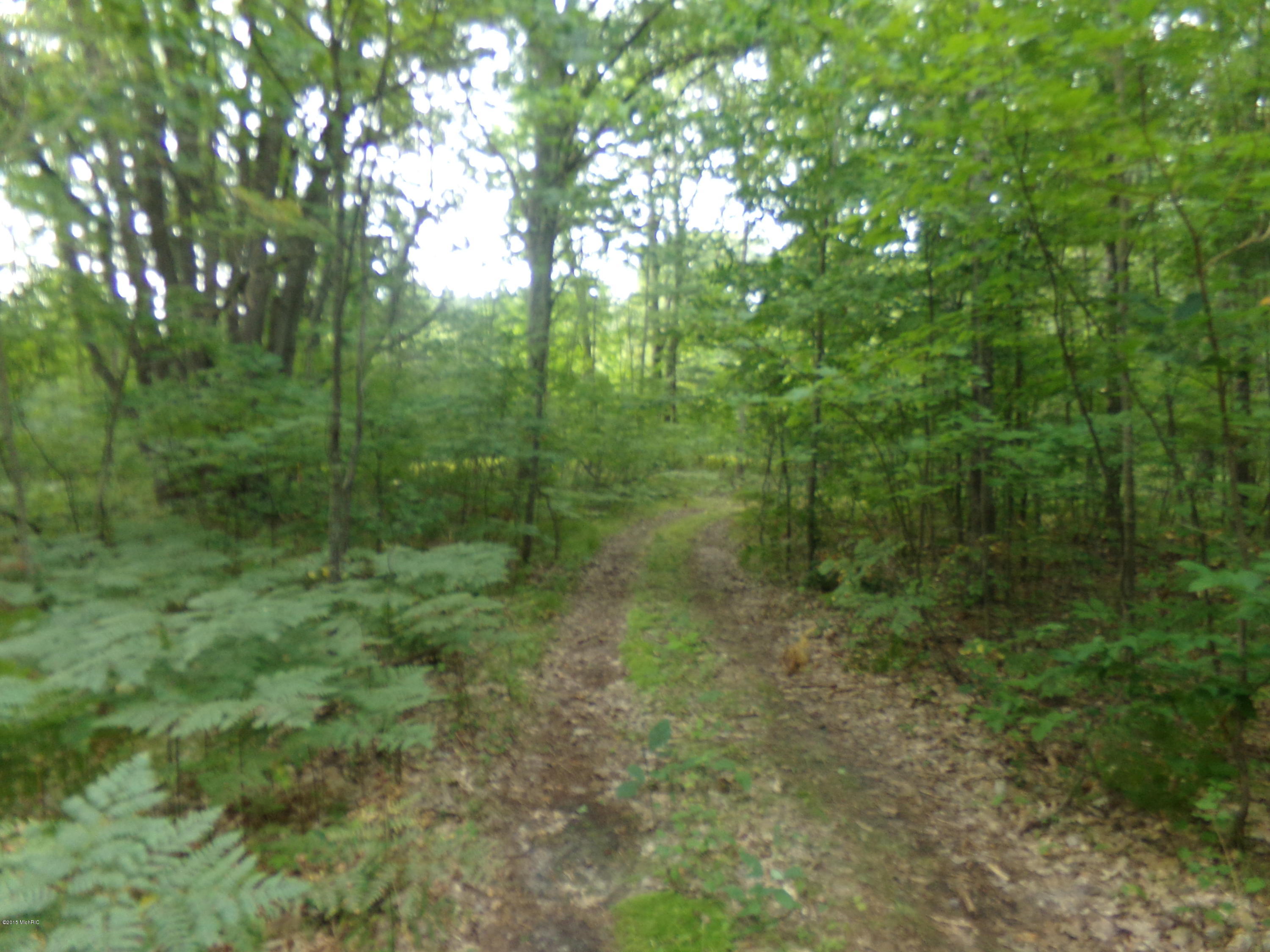 Pole Road Kaleva, MI 49645 - Photo 3 of 12 100_0521