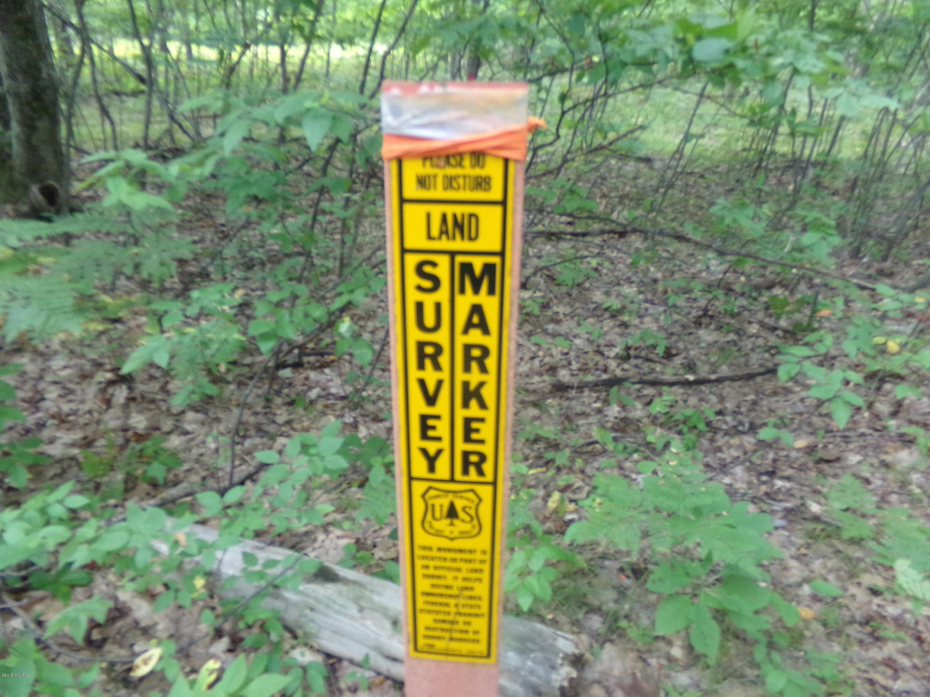 Pole Road Kaleva, MI 49645 - Photo 5 of 12 100_0523