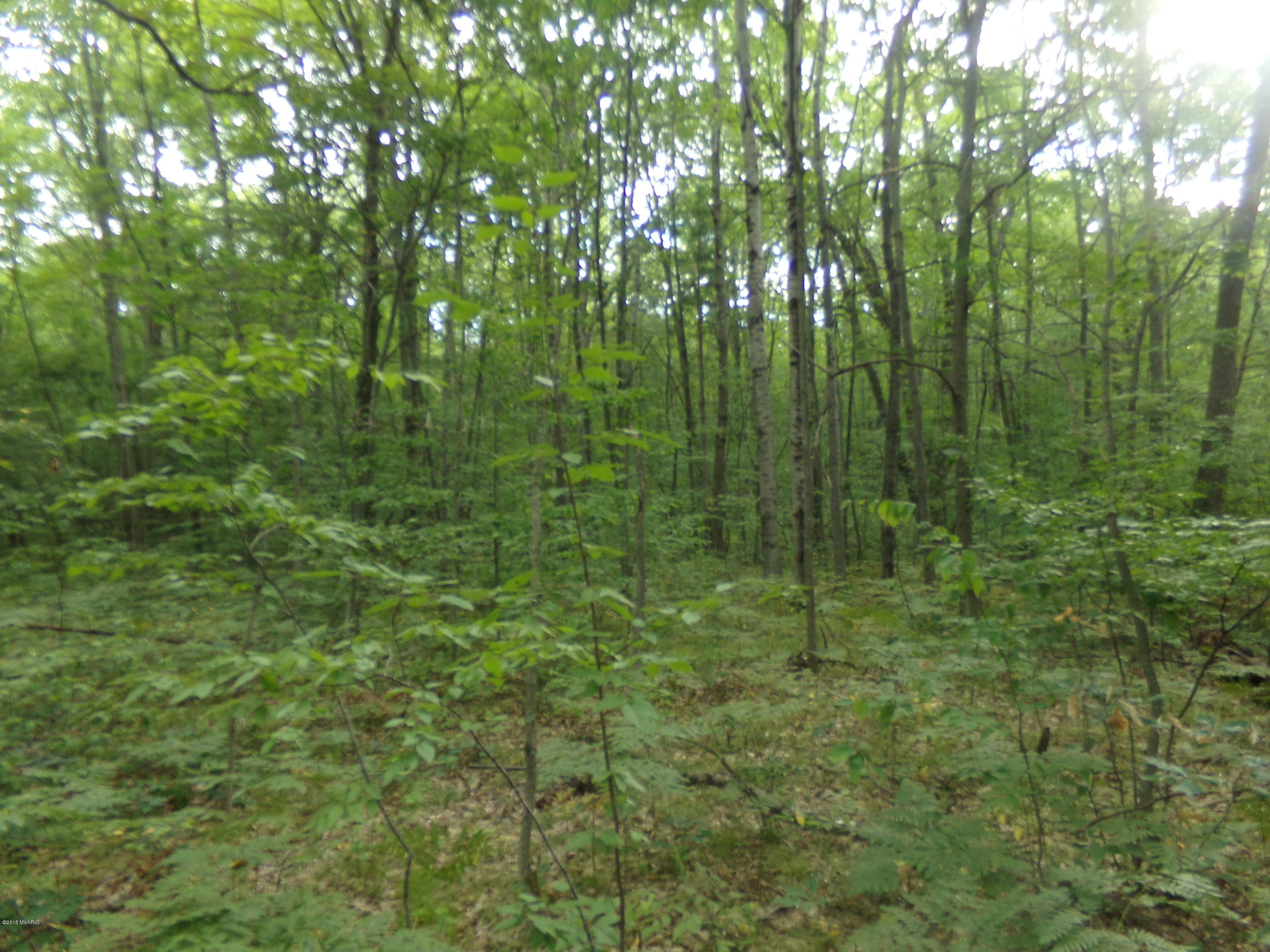 Pole Road Kaleva, MI 49645 - Photo 6 of 12 100_0524