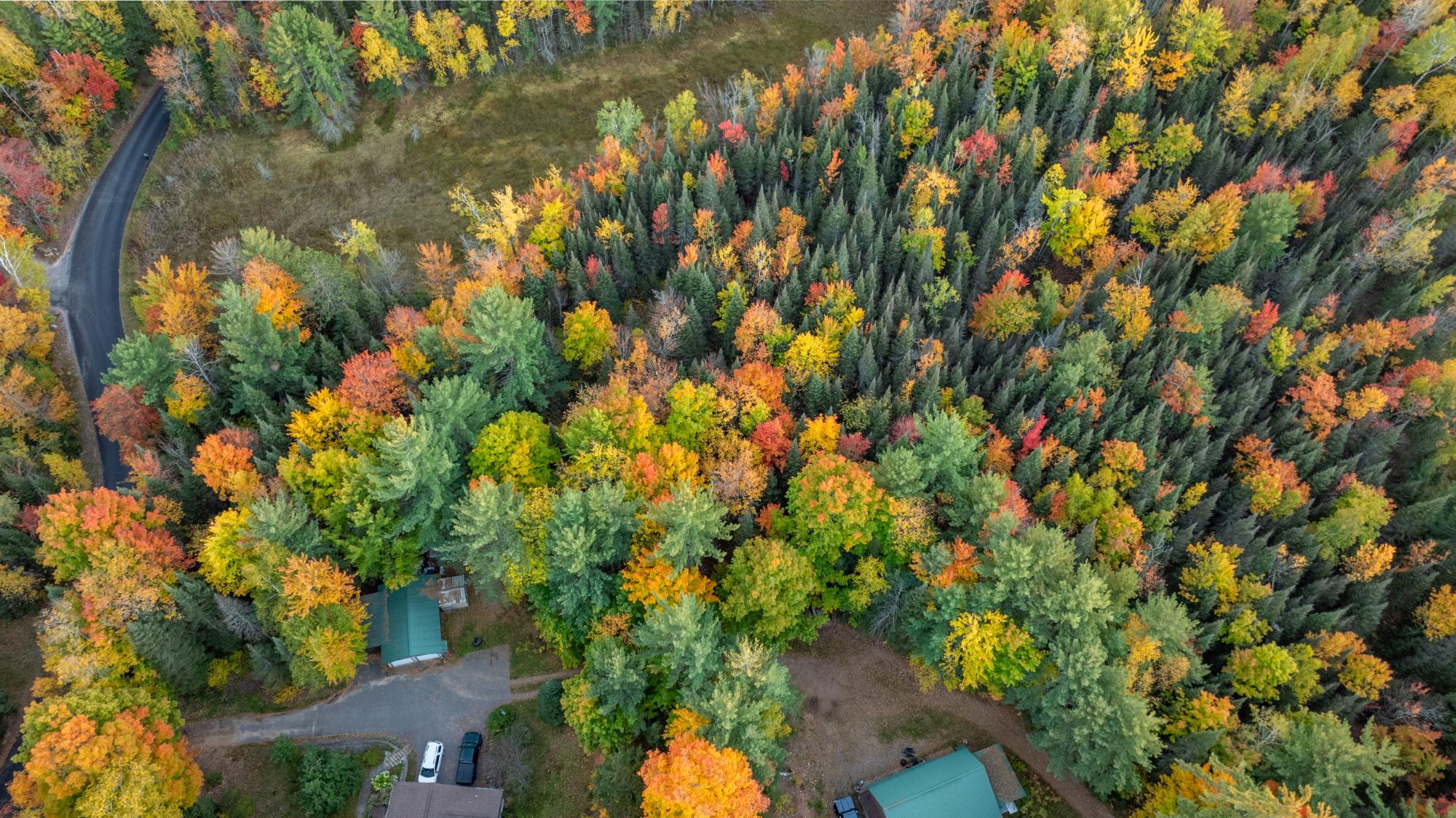 Three Steven Javenkowski Road, Unit 5 99 AC Three Lakes, WI 54562 - Photo 6 of 14 Gallery Image 6