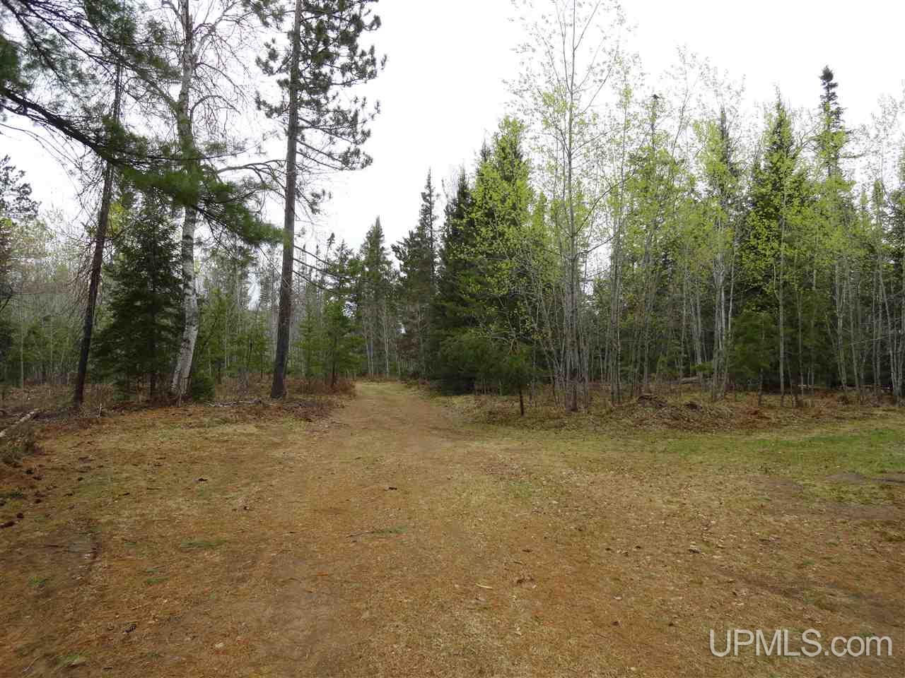 39-acres 39-acres Co Road Ishpeming, MI 49849 - Photo 2 of 39