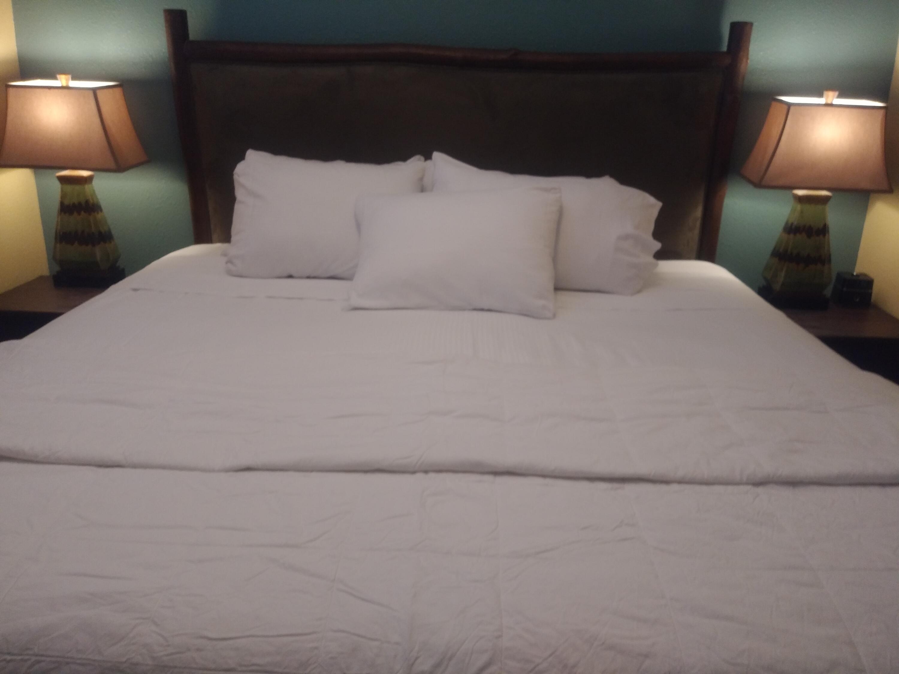 S944 Christmas Mountain Road Dellona, WI 53965 - Photo 15 of 26 20200705_132110