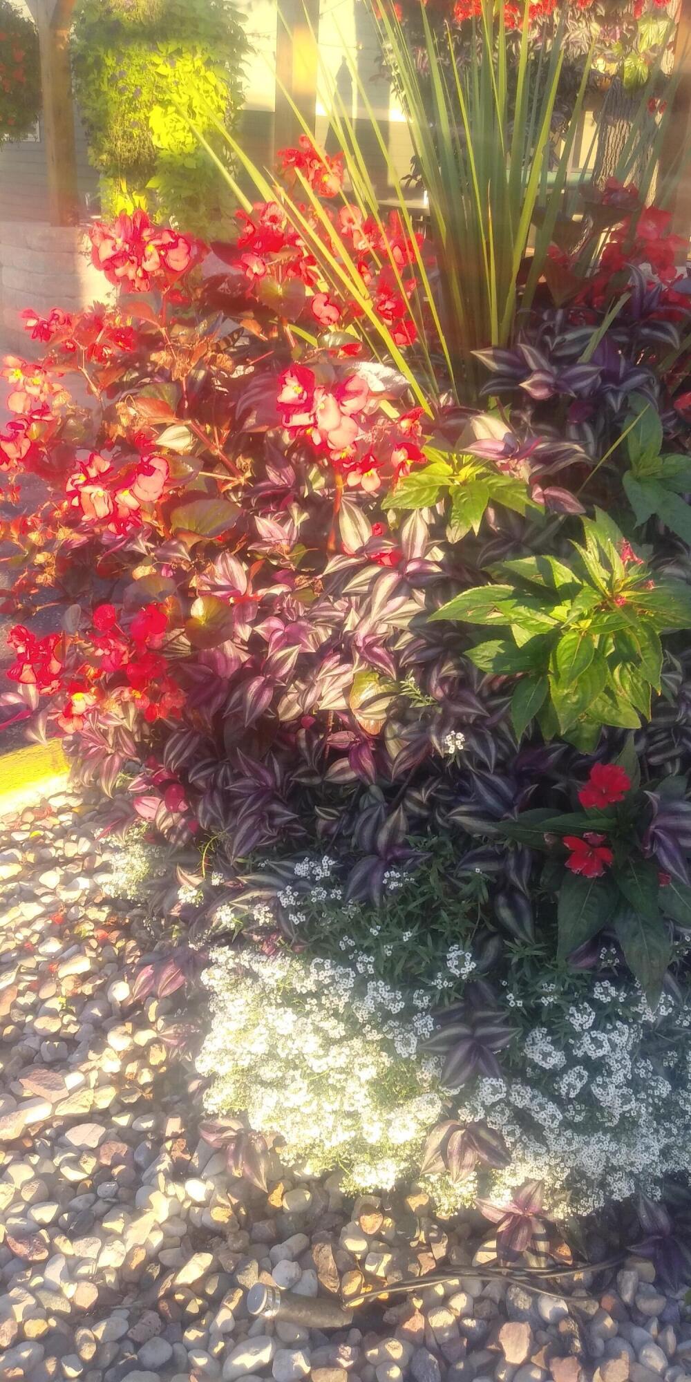 S944 Christmas Mountain Road Dellona, WI 53965 - Photo 21 of 26 20210814_190730