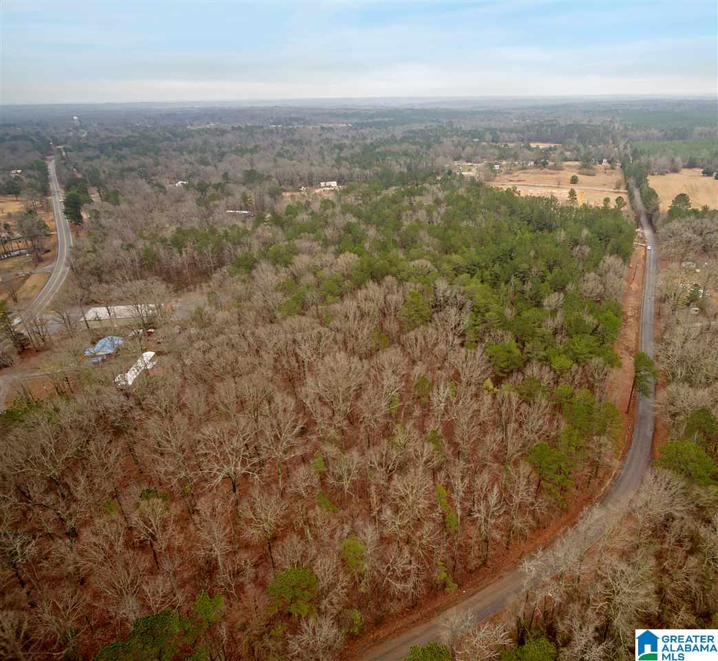 0 Clay Pit Road, Unit 7 AACRES ON CLAY PIT ROAD Montevallo, AL 35115 - Photo 2 of 7