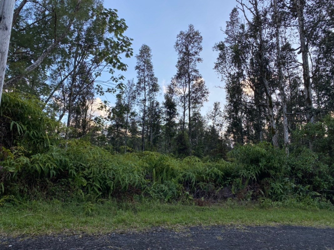 453 Lahaina Road Pahoa, HI 96778 - Photo 2 of 2 Gallery Image 2