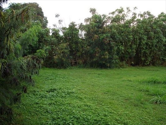 3844 Koula Road Hanapepe, HI 96716 - Photo 3 of 5 Gallery Image 3