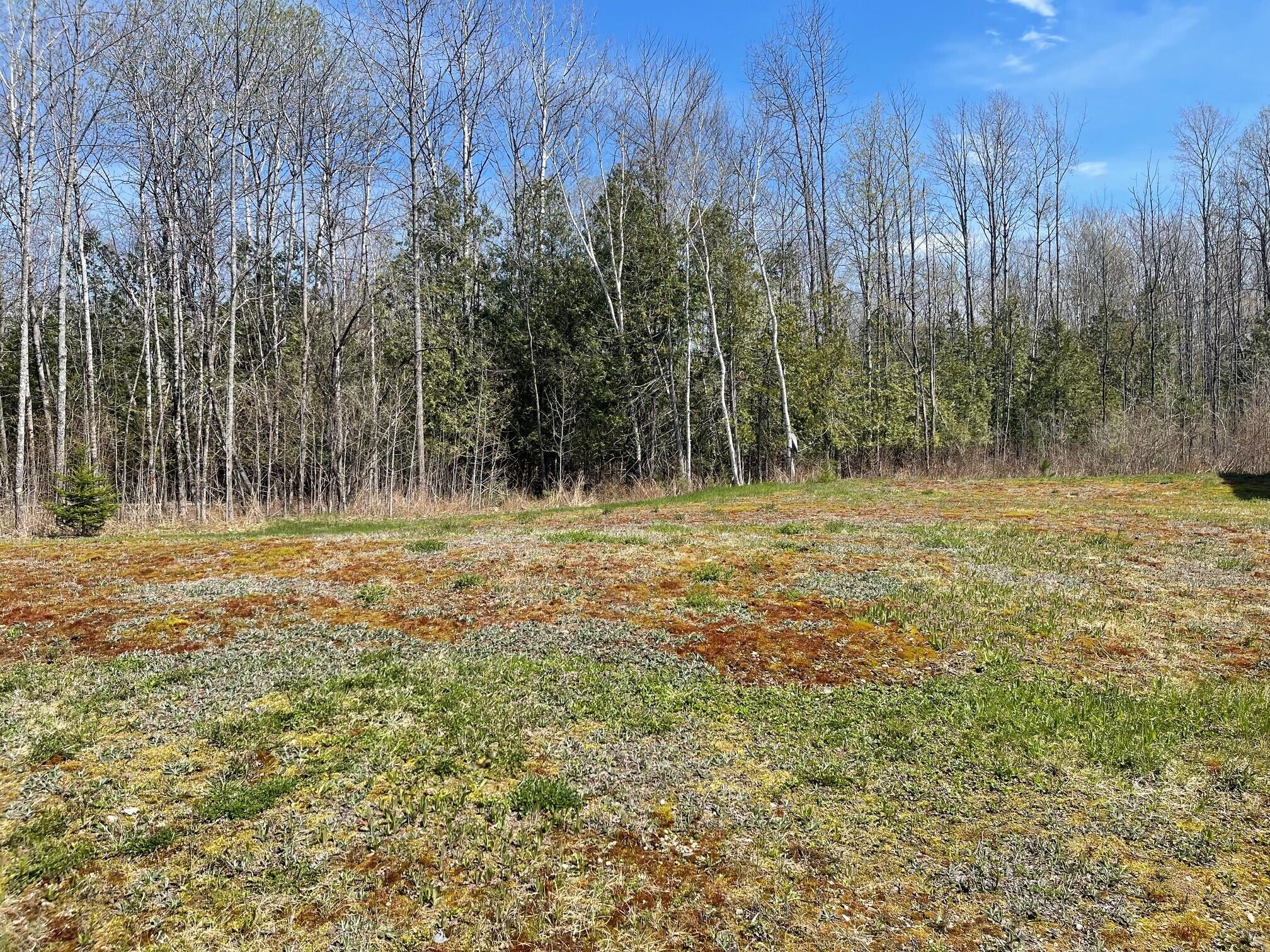 319 Dexter Road St. Albans, ME 04971 - Photo 25 of 28