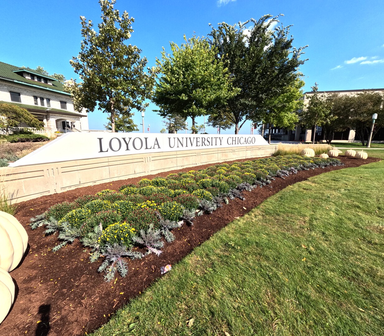6325 North Sheridan Road, Unit 2003 Chicago, IL 60660 - Photo 15 of 17 a view of swimming pool with a yard and trees