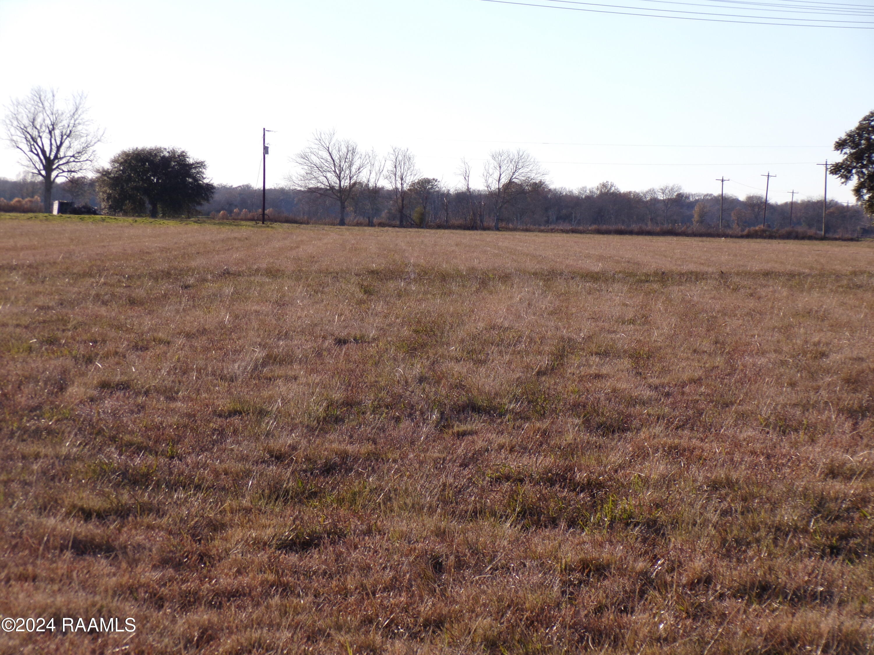 1700-blk Hoffpauir Road Rayne, LA 70578 - Photo 1 of 10
